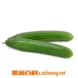 吃瓜娱乐百科大全,揭秘娱乐圈背后的秘密与趣闻